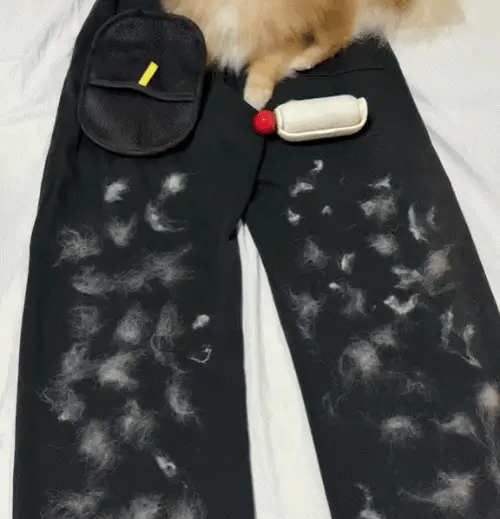 Magic Pet Hair Remover Brush | Reusable Fur Cleaning Tool for Dogs & Cats